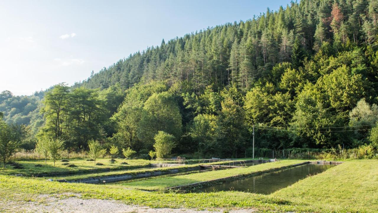 Къща За Гости Черна Река Ribarica Esterno foto